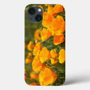 Search for los ipad cases California