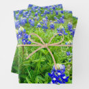 Search for texas bluebonnets wrapping paper Wildflowers