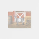 Search for goat post it notes Livestock