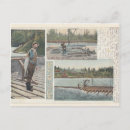 Search for chinook postcards Salmon