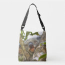 Search for cuddly bags Bear