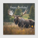 Search for moose birthday cards Nature