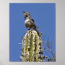 Search for wren posters Cactus