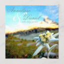 Search for alp invitations Flower