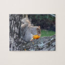Search for pumpkin puzzles Photography