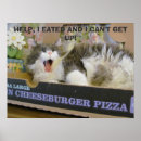 Search for cheeseburger posters Cat