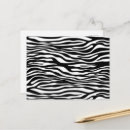 Search for black and white zebra postcards Safari animals