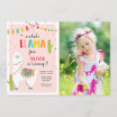 Search for llama fiesta birthday invitations Mexican