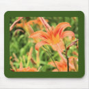 Search for tiger lily mouse mats Summer