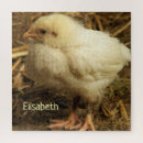 Search for chicken puzzles Cute