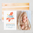 Search for rabbit with carrots invitations Orange