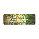 Search for tigers return address labels Safari