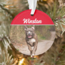 Search for pitbull christmas tree decorations Animals