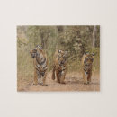 Search for rare puzzles Animal