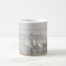 Search for sandhill mugs Nature