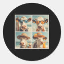 Search for retro surfing stickers Sunshine