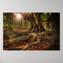 Search for elfin Elves