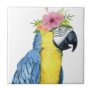 Search for tropical tiles Parrot
