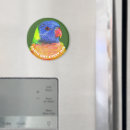 Search for rainbow lorikeet magnets Parrot