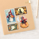 Search for black mail vertical postcards Pumpkin