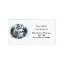 Search for gray wolf Nature