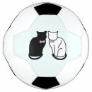Search for cat animal footballs Pet