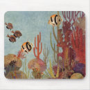 Search for coral sea mouse mats Ocean
