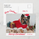 Search for yorkie puppy postcards Cute