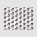 Search for puffin crafts party Cartoon