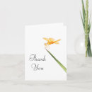 Search for dragonfly wing cards Wildlife