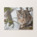 Search for lynx puzzles Carnivore
