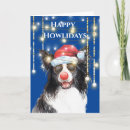 Search for funny border collie cards Humour