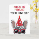 Search for merle cards Blue merle french bulldog