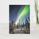 Search for aurora borealis northern lights cards Night