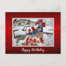 Search for blue jay birthday cards Pretty