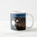 Search for osprey mugs Animal