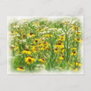 Search for multi region cards invites Garden
