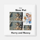 Search for dog grooming magnets Modern