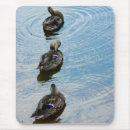 Search for mallard bird mouse mats Duck