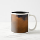 Search for hot lava mugs Eruption