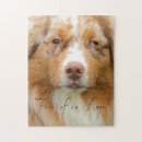 Search for australian shepherd puzzles Aussie