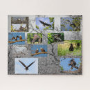 Search for eagle puzzles Animals
