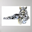 Search for pardus posters Head