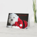 Search for bichon christmas cards Maltese