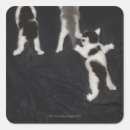 Search for husky puppy stickers Baby