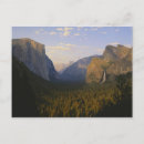 Search for fall tree postcards Tranquil