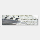 Search for fisher bumper stickers Jesus