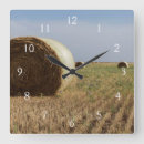 Search for route 66 Erick