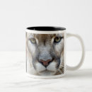 Search for concolor mugs Cougar