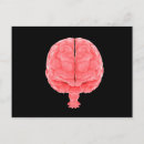 Search for human brain postcards Detail